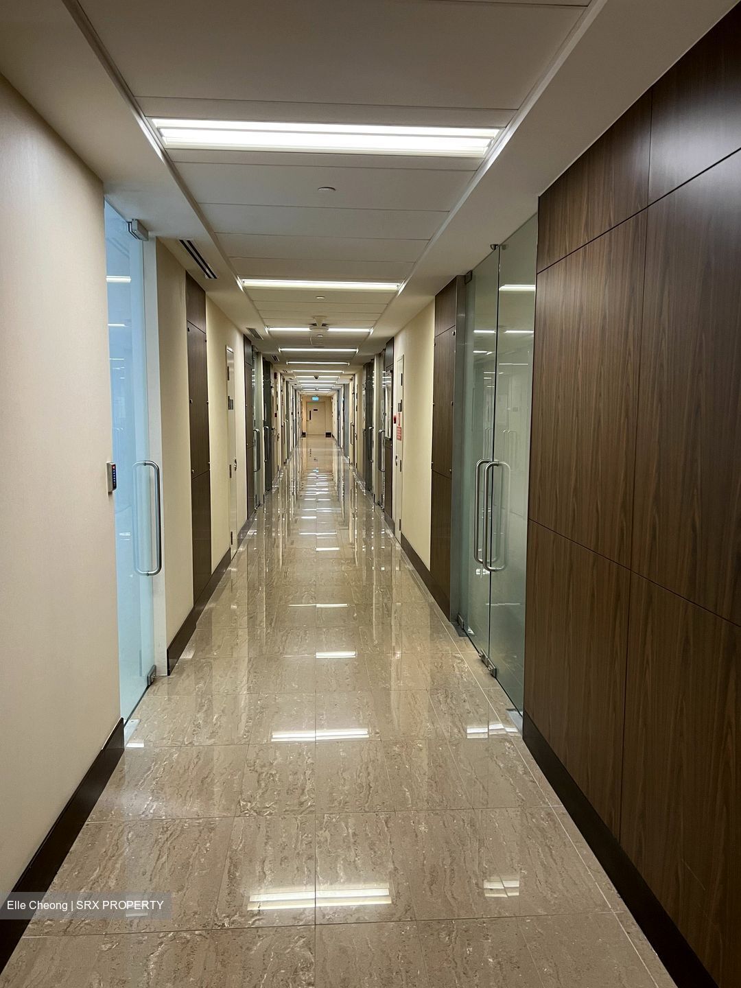 Mount Elizabeth Novena Hospital (D12), Retail #364487181